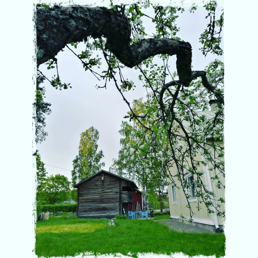 Willa Mustijoki Laukkoski Kültér fotó