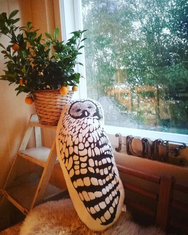 Willa Mustijoki Laukkoski Kültér fotó