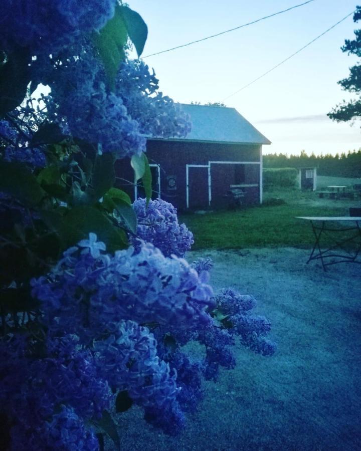 Willa Mustijoki Laukkoski Kültér fotó