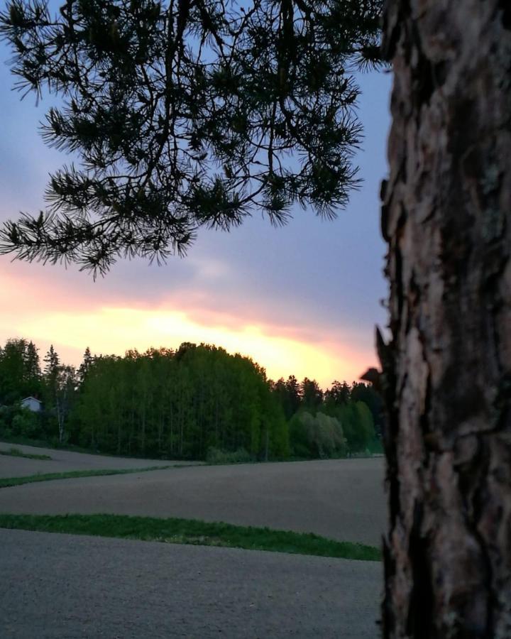 Willa Mustijoki Laukkoski Kültér fotó