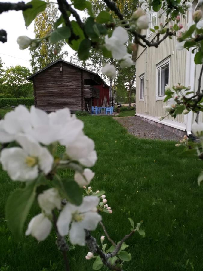 Willa Mustijoki Laukkoski Kültér fotó